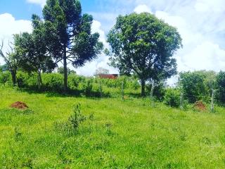 Baependi: Terreno em são Thomé das letras a venda 1