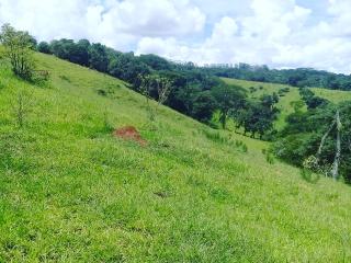 Baependi: Terreno em são Thomé das letras a venda 6