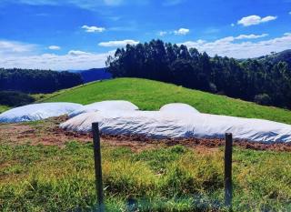 Baependi: Terreno à vendo em Baependi MG 8