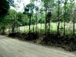 Poços de Caldas: Chácara à venda em Poços de Caldas MG. 3.390m² 2