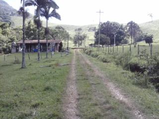 Taubaté: Fazenda de 50 alqueires em Taubaté a 24 da cidade 13