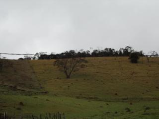 Taubaté: Fazenda de 50 alqueires em Taubaté a 24 da cidade 9