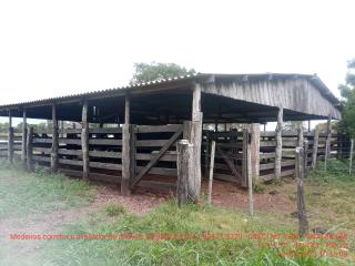 Cuiabá: VENDO!!! Uma fazendinha de 50 hectares próximo da cidade de Cuiabá MT, 15 minutos de Cuiabá 14