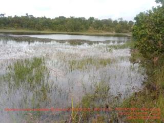Cuiabá: VENDO!!! Uma fazendinha de 50 hectares próximo da cidade de Cuiabá MT, 15 minutos de Cuiabá 9