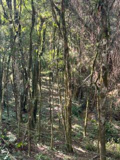 Colombo: &aacute;reas para Ch&aacute;cara 12