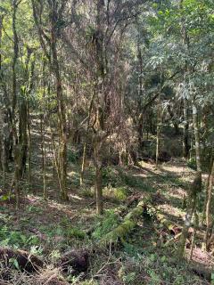 Colombo: &aacute;reas para Ch&aacute;cara 6