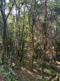 Colombo: &aacute;reas para Ch&aacute;cara 8