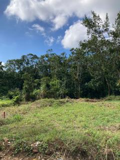 Ubatuba: Terreno à venda Tabatinga - Ubatuba/SP 1