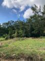 Terreno à venda Tabatinga - Ubatuba/SP em Ubatuba no Tabatinga