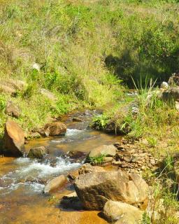 Baependi: Venha conhecer sítio a venda em ALagoa 4