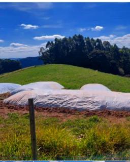 Baependi: Bela paisagem  Sítio a venda em Baependi MG 2