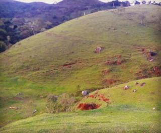Baependi: Terreno palmital a venda 1