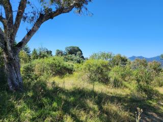 Bom Retiro: Oportunidade de investimento em Bom Retiro Serra Catarinense 3