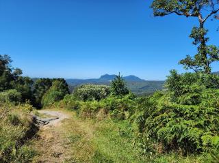 Bom Retiro: Oportunidade de investimento em Bom Retiro Serra Catarinense 6