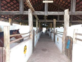Benevides: Fazenda Real Lotes Disponível 8