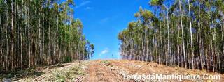 Sapucaí-Mirim: OPORTUNIDADE: Sitio em fundo de vale com linda vista da região 9