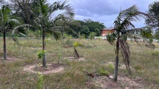 Criciúma: Terreno a venda Faxinalzinho balneário Rincão 11