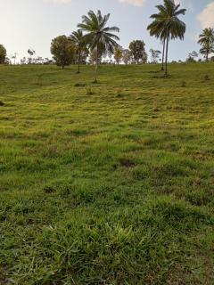 Valença: Sitio com 13 hectares à venda. 11