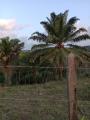 Valença: Sitio com 13 hectares à venda.
