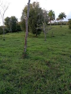 Valença: Sitio com 13 hectares à venda. 2