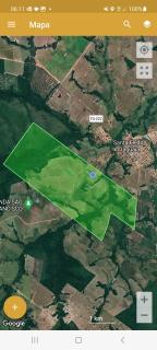 Pequizeiro: Faz. a Venda em Santa F&eacute; do Araguaia/TO 11