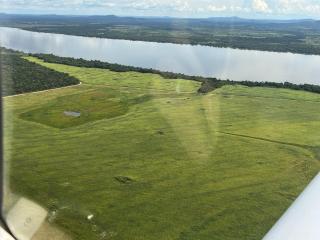 Pequizeiro: Faz. a Venda Santa F&eacute; do Araguaia/TO 1