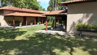 Pequizeiro: Faz. a Venda Santa F&eacute; do Araguaia/TO 10