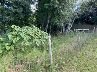 Santa Cruz do Sul: VENDE-SE Ch&aacute;cara de 1,5  hectares com casa105 M2 em - Santa Cruz do Sul/RS 22