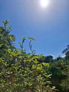 Caetan&oacute;polis: CASA &Agrave; VENDA FINANCIADA OU &Agrave; VISTA EM CAETAN&Oacute;POLIS 22