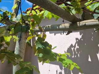 Caetan&oacute;polis: CASA &Agrave; VENDA FINANCIADA OU &Agrave; VISTA EM CAETAN&Oacute;POLIS 7