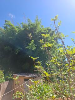 Caetan&oacute;polis: CASA &Agrave; VENDA FINANCIADA OU &Agrave; VISTA EM CAETAN&Oacute;POLIS 9