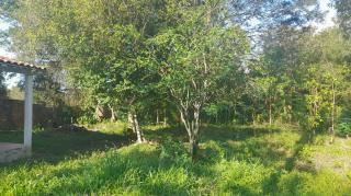 Itabora&iacute;: Vendo S&iacute;tio em Vila Rica - Itabora&iacute; 2