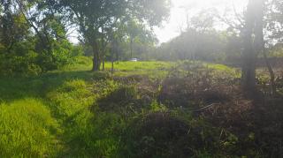 Itabora&iacute;: Vendo S&iacute;tio em Vila Rica - Itabora&iacute; 5