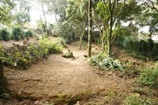 Mairipor&atilde;: TERRENO EM TERRA PRETA 5