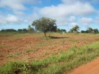 Ilha Comprida: sitio em cabiceiras de goias de 02,ha 4