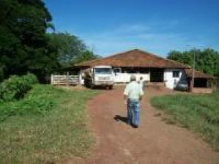 Ilha Comprida: Fazenda Modêlo de 31,00ha 6
