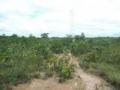 Ilha Comprida: Fazenda chapada de 200,00ha