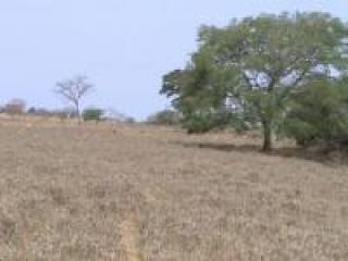 Ilha Comprida: Fazenda paraiso de 40,00ha 8