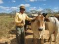 Ilha Comprida: Fazenda de 338,00ha