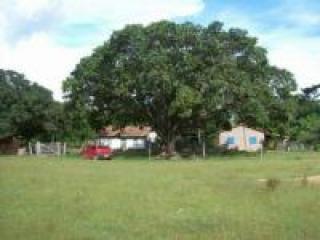 Ilha Comprida: Fazenda de 160,00ha 5