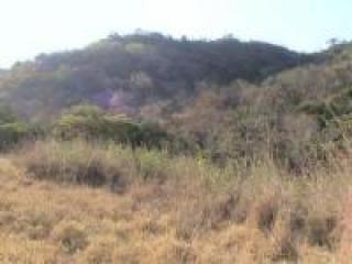Ilha Comprida: Fazenda de 430,ha 5
