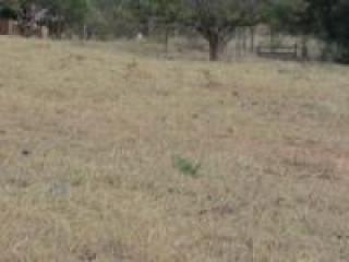 Ilha Comprida: Fazenda de 430,ha 7