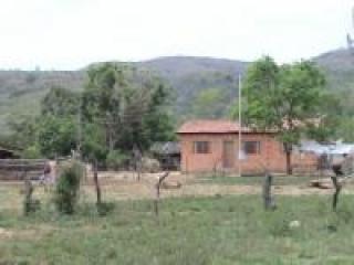 Ilha Comprida: Fazenda de 70,ha 3