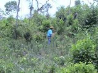 Ilha Comprida: Fazenda de 70,ha 6