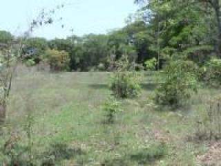 Ilha Comprida: Fazenda de 70,ha 7