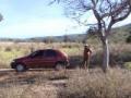 Fazenda de 240,ha em Ilha Comprida