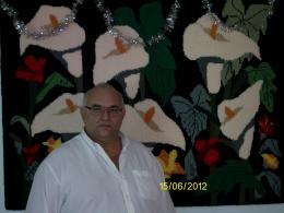 ALFA NEGOCIOS IMOBILIARIOS