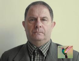 Ademir Corretor de Im&oacute;veis