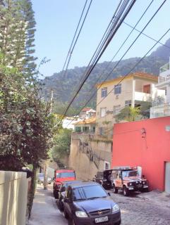 Rio de Janeiro: JARDIM BOT&Acirc;NICO - RJ 3