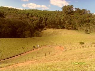 Pinhalzinho: TERRENO PARA CHÁCARA 5.900m² 2